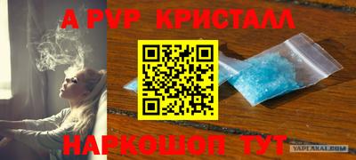 spice Будённовск