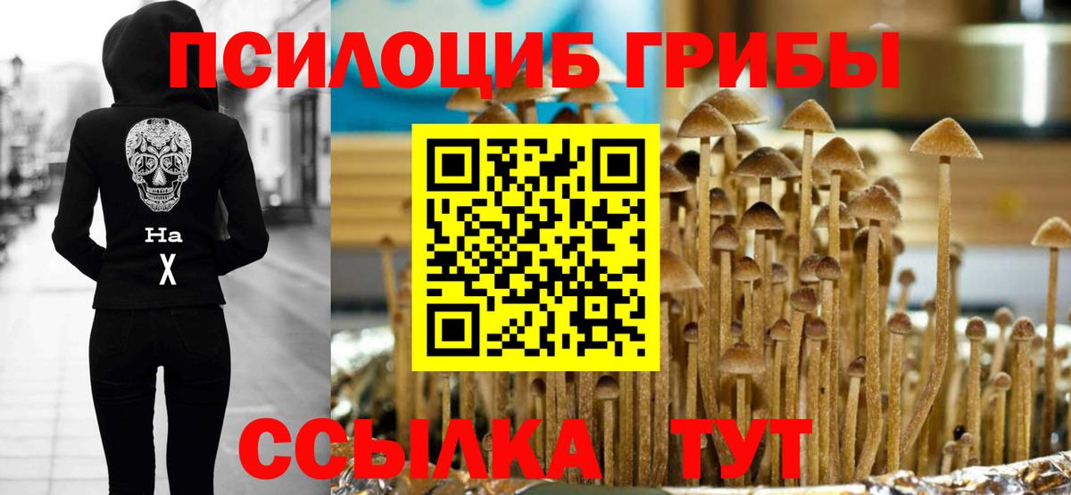 Галлюциногенные грибы GOLDEN TEACHER  Псилоцибиновые грибы Magic Shrooms  Вход с VPN  Чебоксары 
